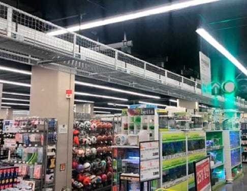 avancon conveyor ceiling supermarket