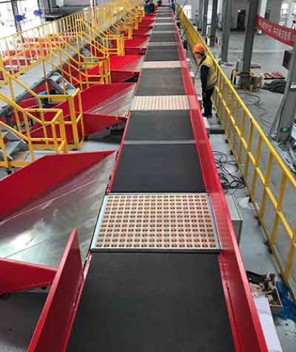 Sorter costruito dal nostro cliente in Cina con OTU